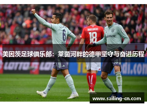 美因茨足球俱乐部：莱茵河畔的德甲坚守与奋进历程