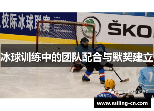 冰球训练中的团队配合与默契建立