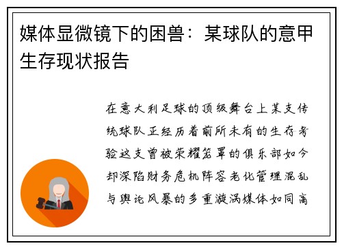 媒体显微镜下的困兽：某球队的意甲生存现状报告