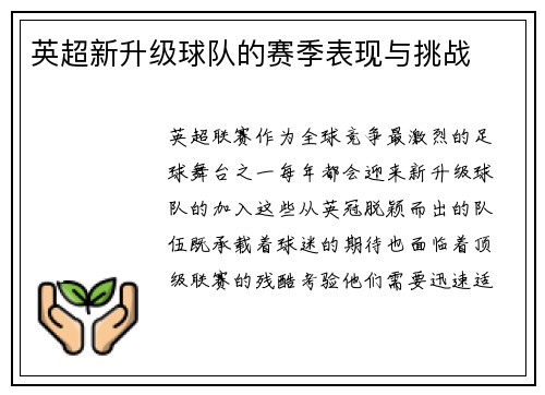 英超新升级球队的赛季表现与挑战