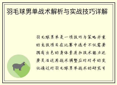 羽毛球男单战术解析与实战技巧详解